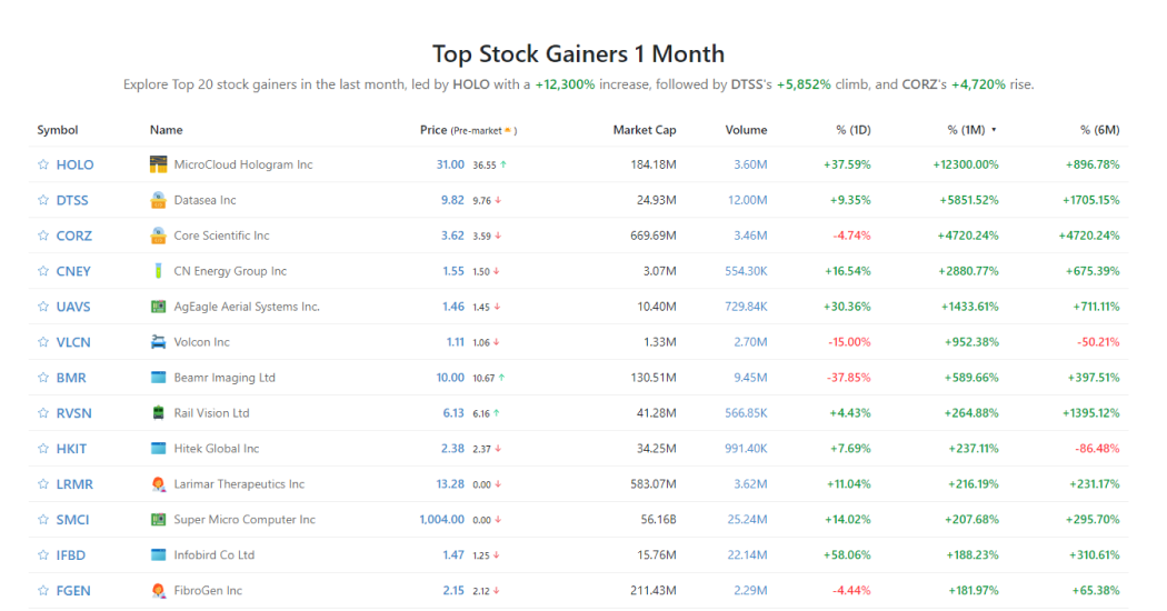 Top Stock Gainers 1 Month StockScan
