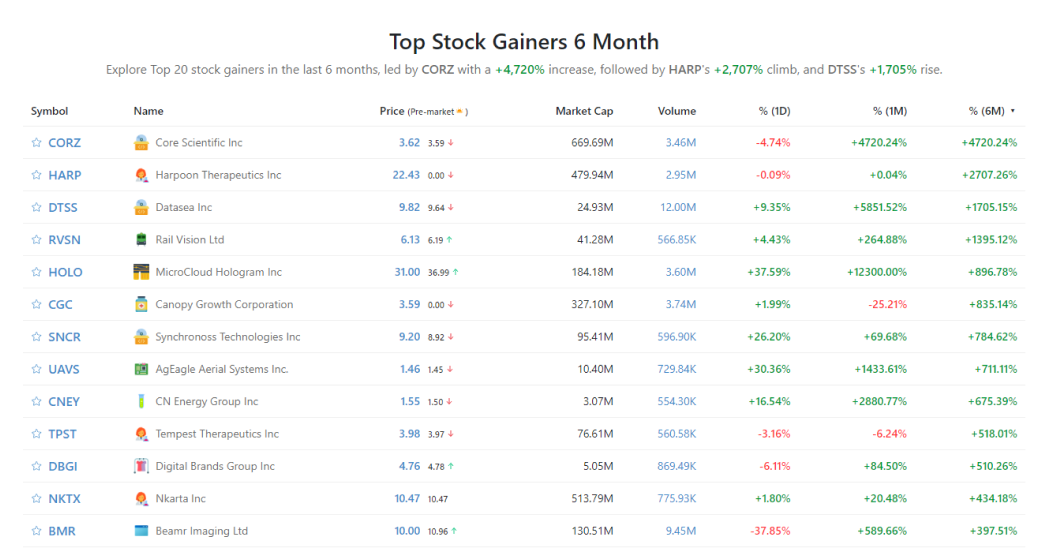 Top Stock Gainers 6 Month StockScan