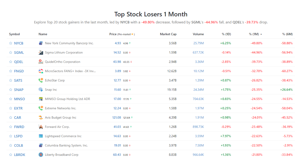 Top Stock Losers 1 Month StockScan